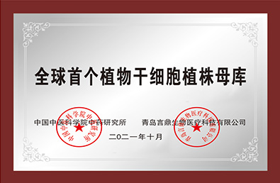 ʱ- ǲ!