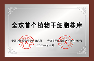 ʱ- ǲ!