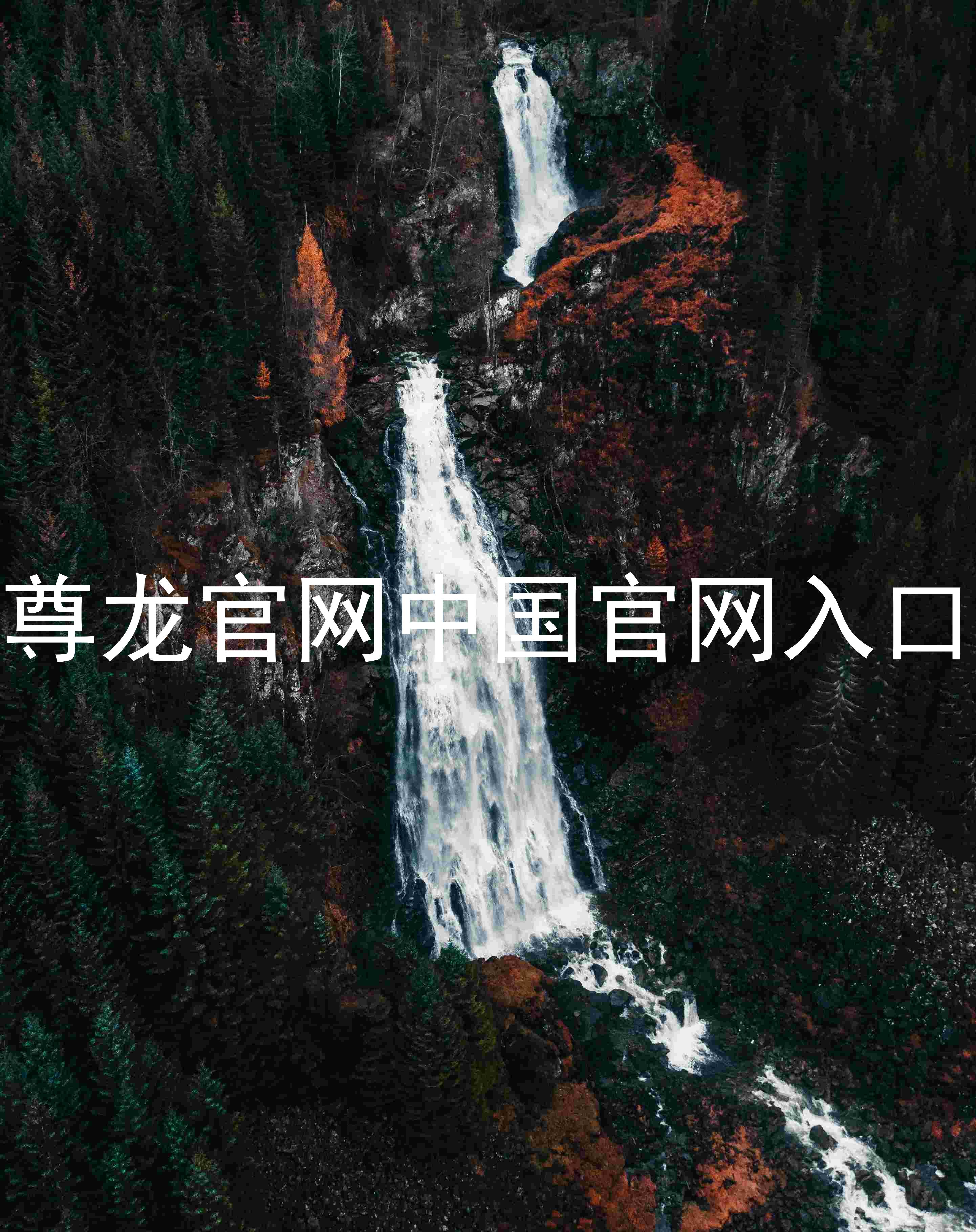 尊龙官网中国官网入口