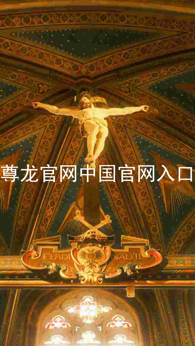 尊龙官网中国官网入口