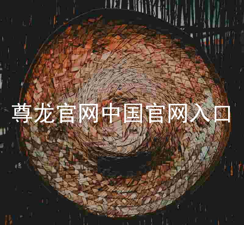 尊龙官网中国官网入口