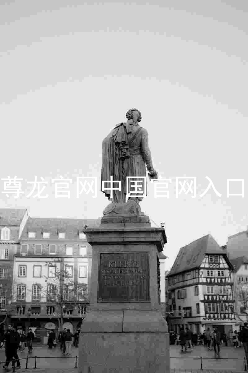 尊龙官网中国官网入口