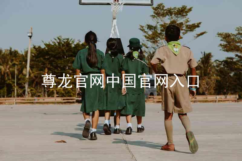 尊龙官网中国官网入口