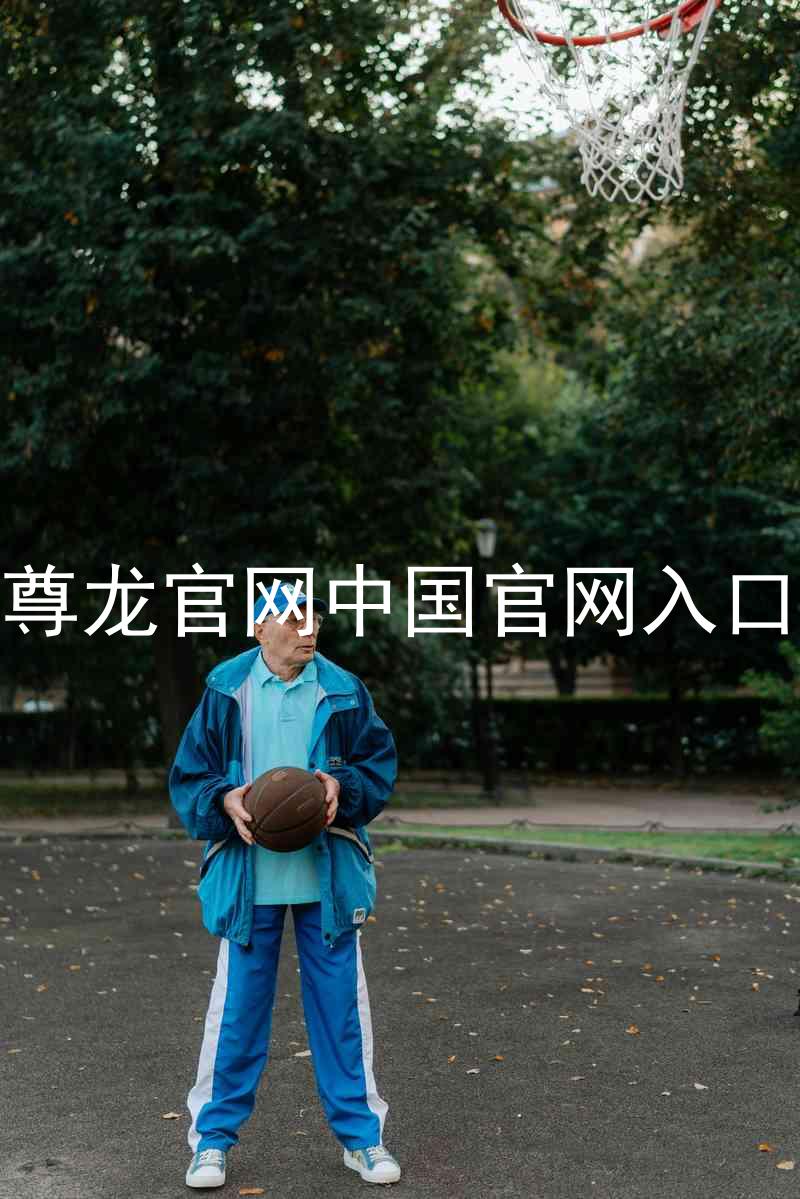尊龙官网中国官网入口