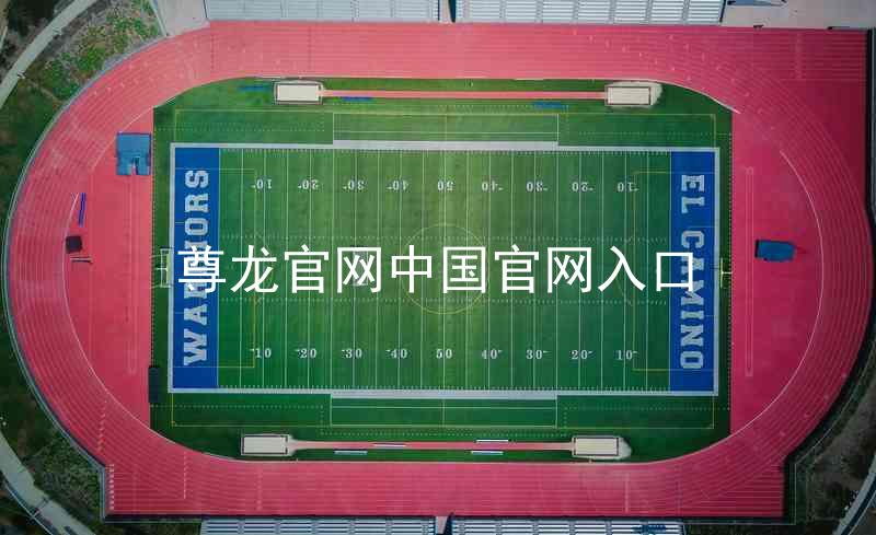 尊龙官网中国官网入口