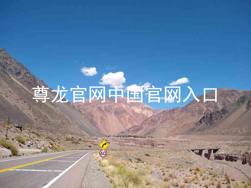 尊龙官网中国官网入口