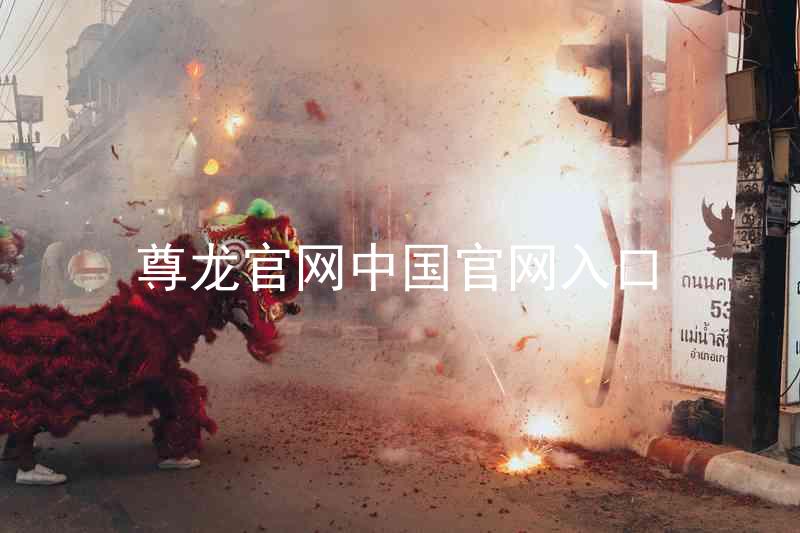 尊龙官网中国官网入口