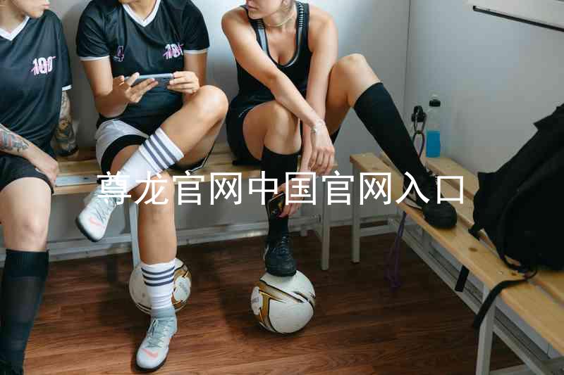 尊龙官网中国官网入口
