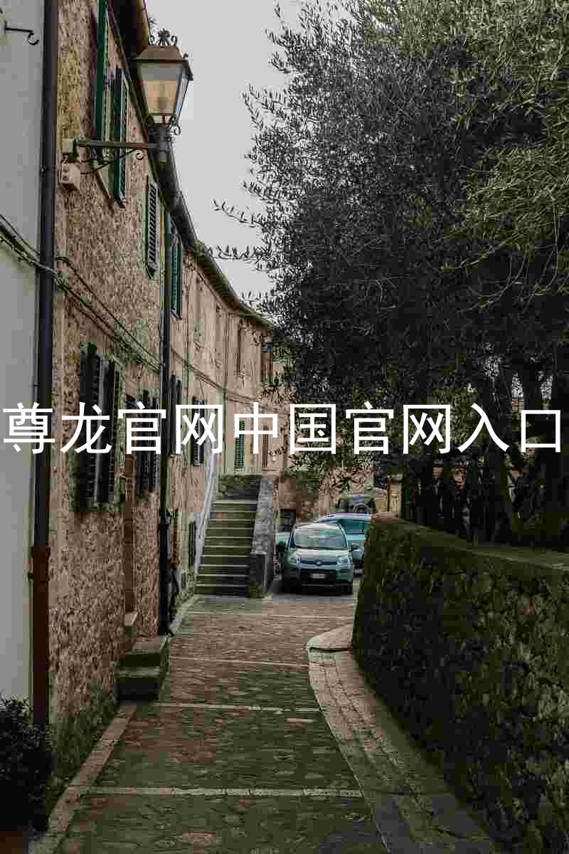 尊龙官网中国官网入口