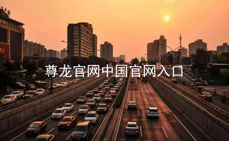 尊龙官网中国官网入口