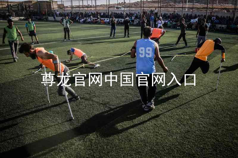 尊龙官网中国官网入口